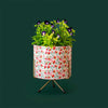 cylindrical metal pot 7.5 inch diameter with painted flower pattern on stand with syngonium plant on indoor work desk