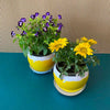 Daily Dump red round metal planter 5.5 inch with white plates with flowers