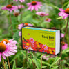 Daily Dump Beej Ball seedballs flower seedmix in box with background of pink flowers