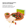 Daily Dump Beej Ball seedballs greens seedmix in box with background of lush greens growing
