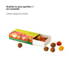 Daily Dump Beej Ball seedballs greens seedmix in box with background of lush greens growing