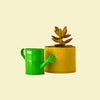 Orange colour Tiny watering can 